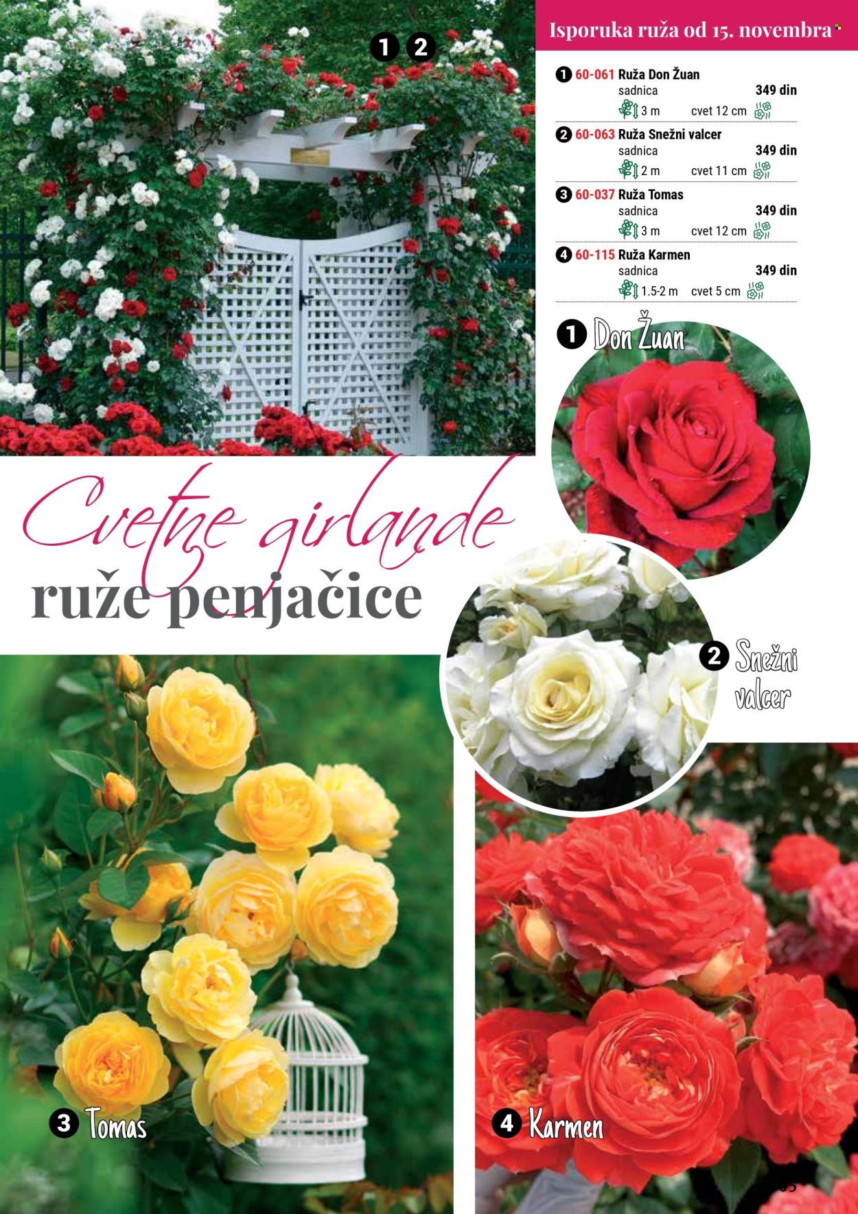 Flora Ekspres katalog. Stranica 105