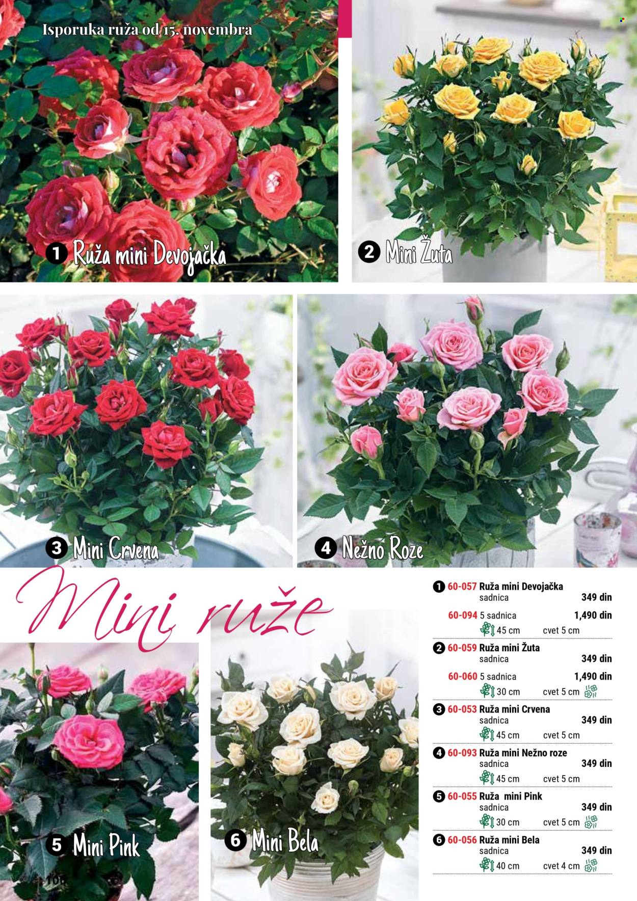 Flora Ekspres katalog. Stranica 106