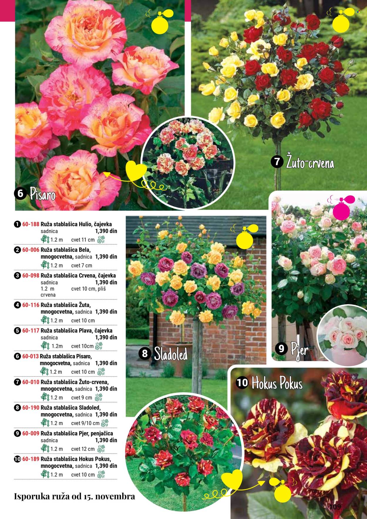 Flora Ekspres katalog. Stranica 109