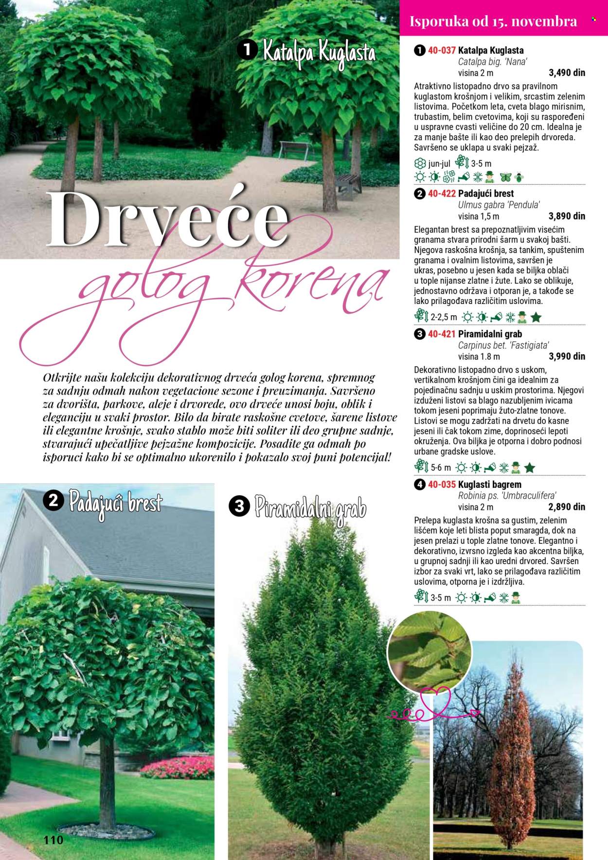 Flora Ekspres katalog. Stranica 110