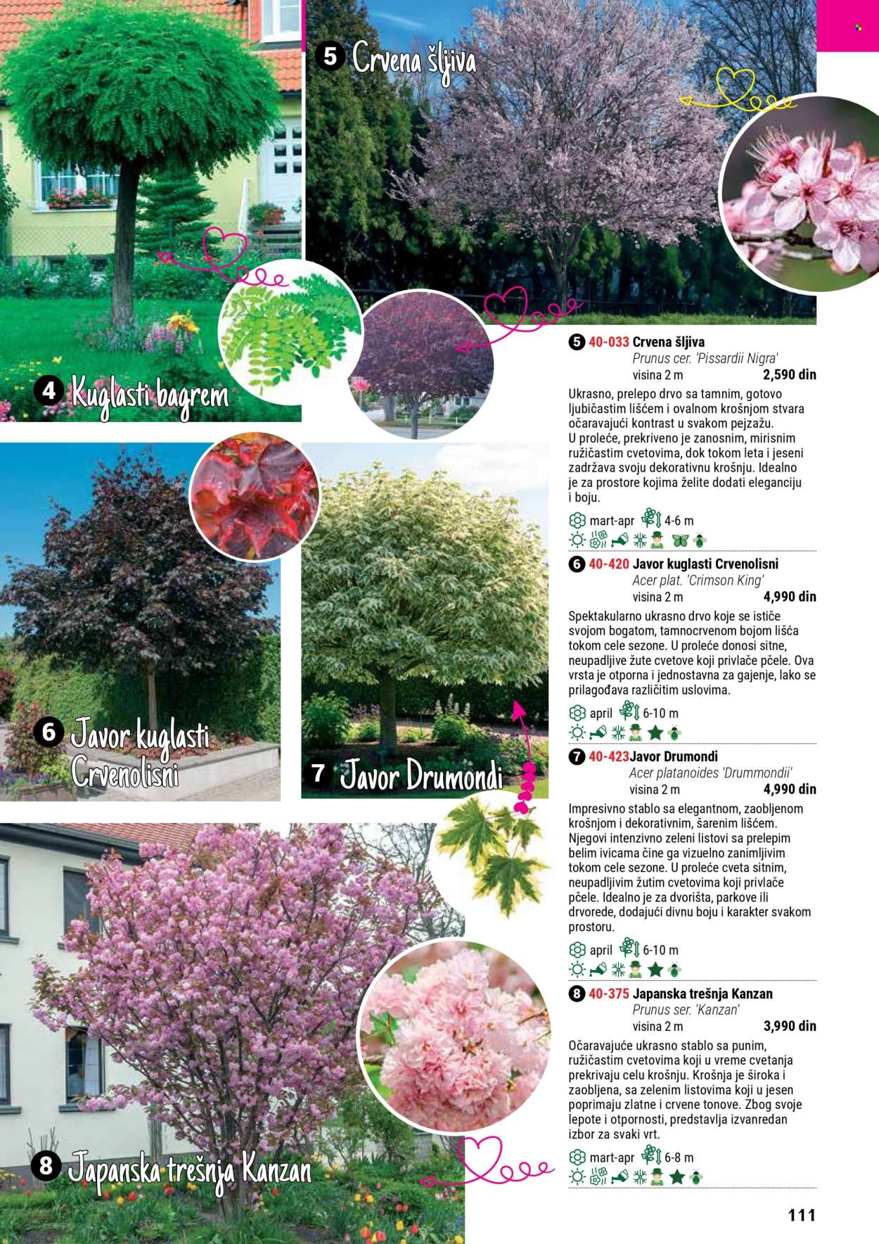 Flora Ekspres katalog. Stranica 111