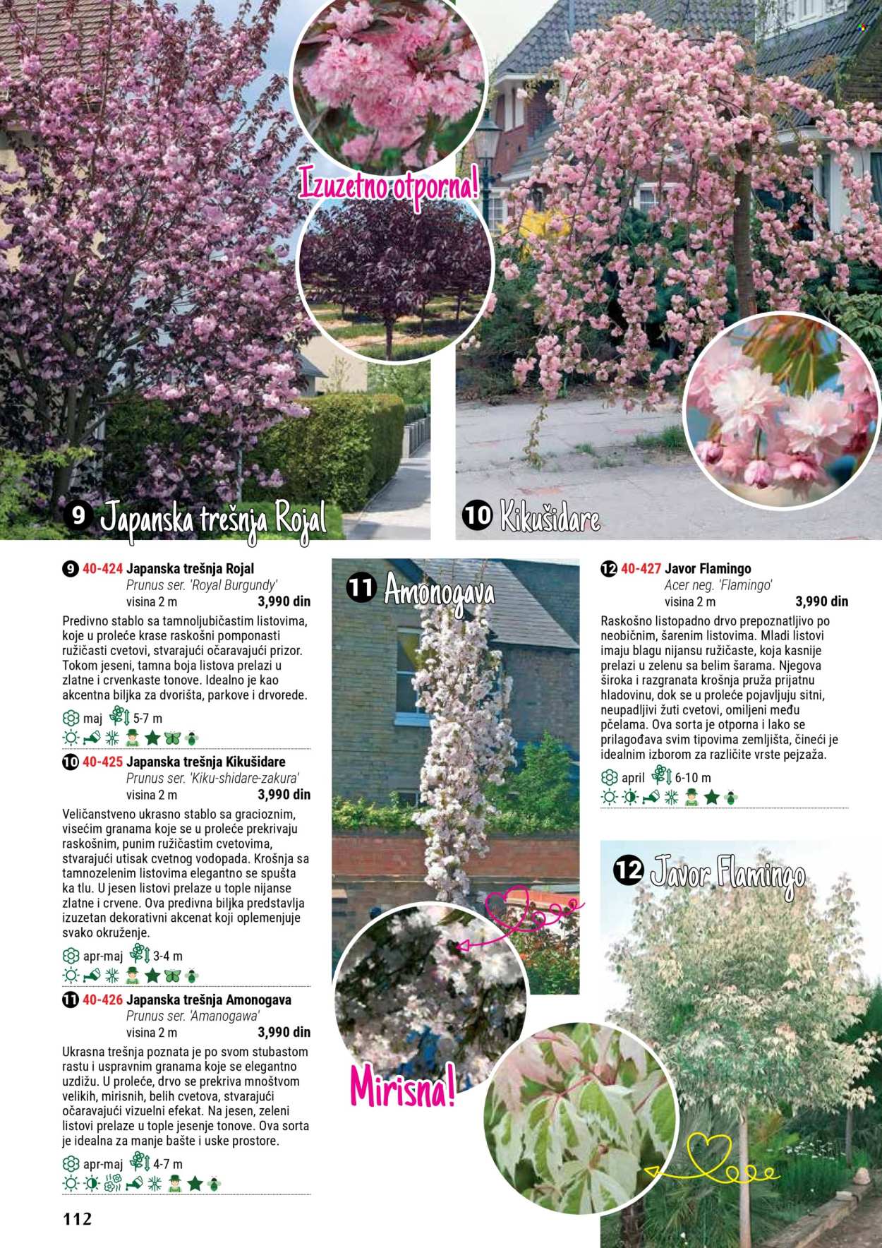 Flora Ekspres katalog. Stranica 112