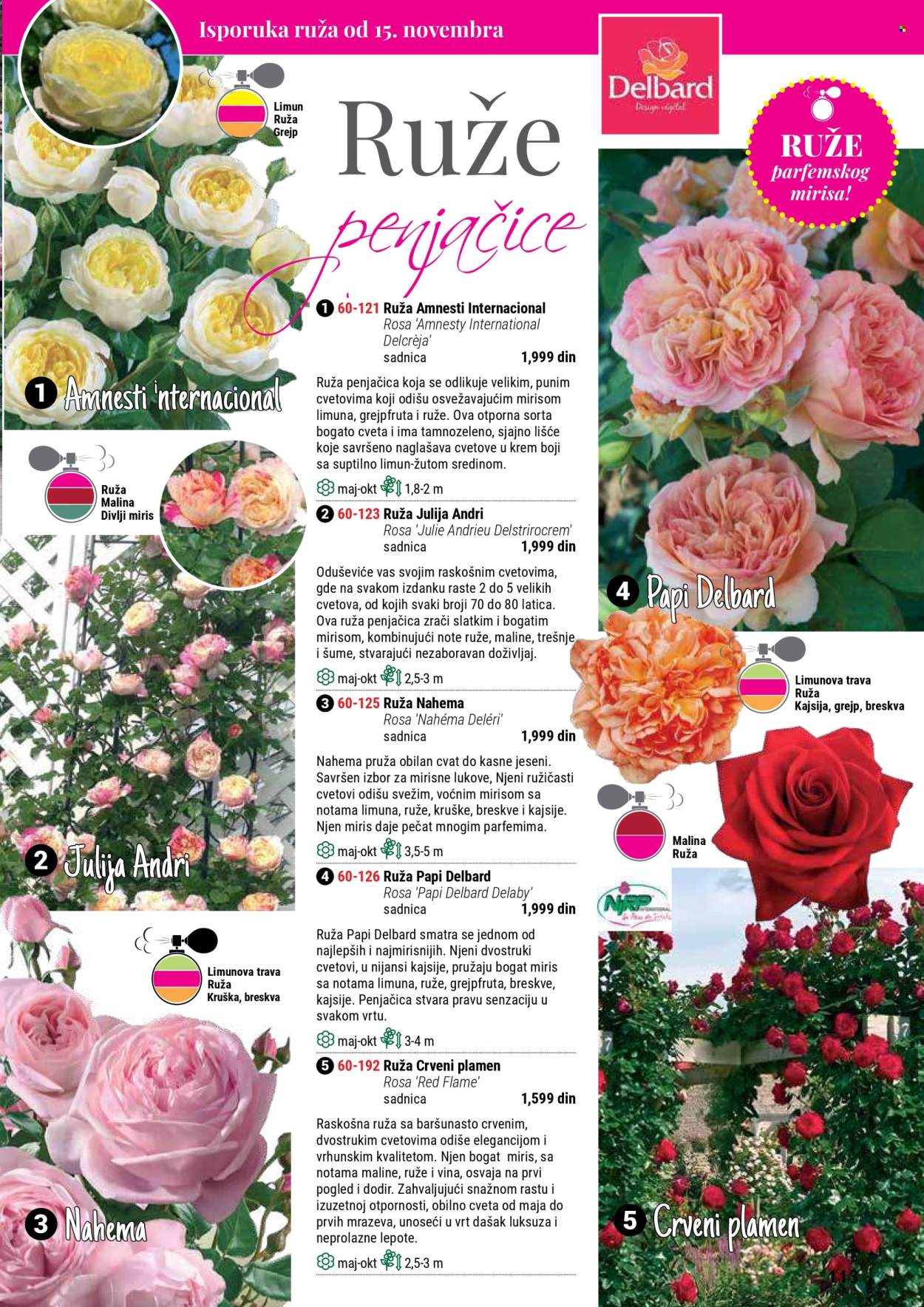 Flora Ekspres katalog. Stranica 113