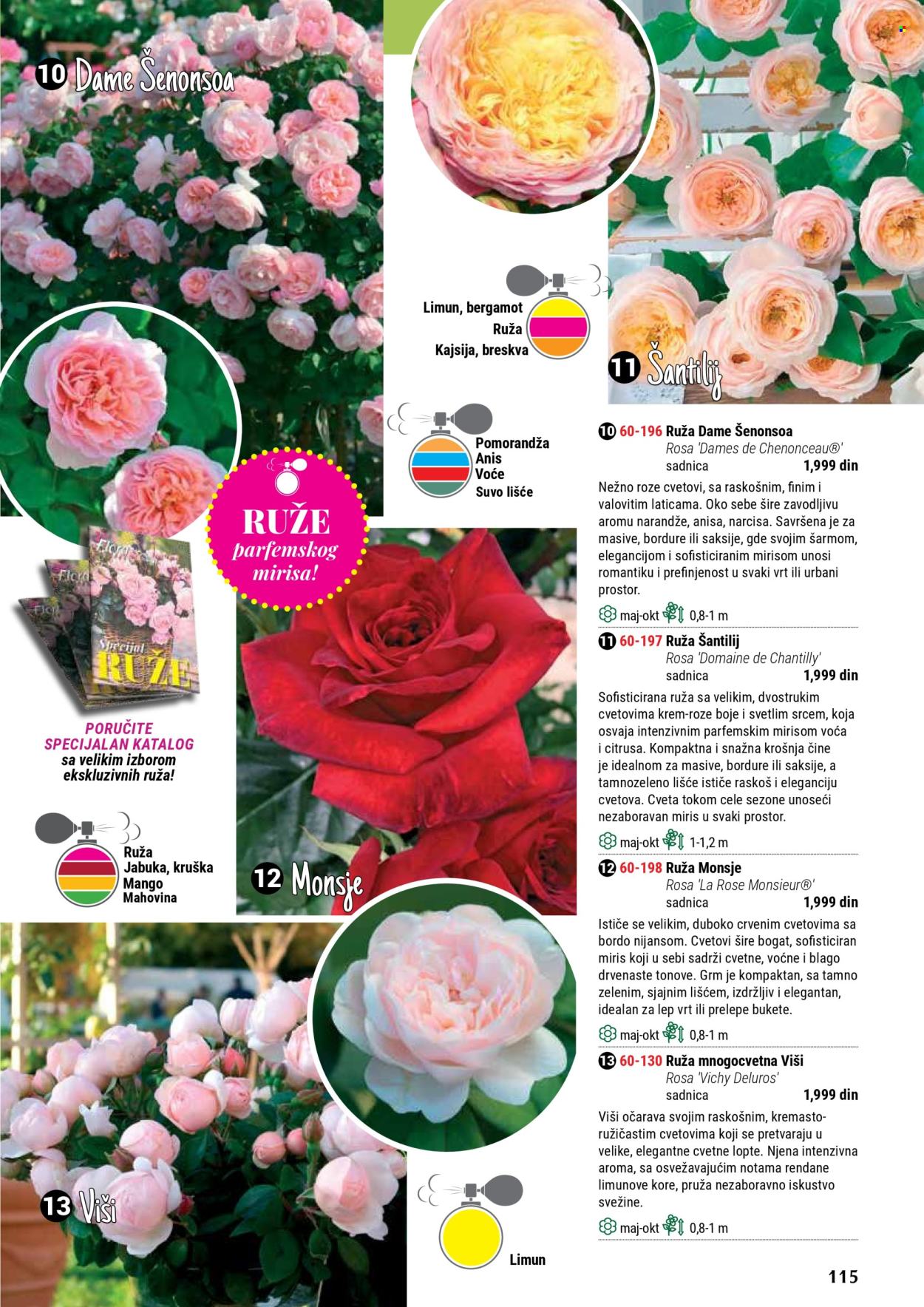 Flora Ekspres katalog. Stranica 115