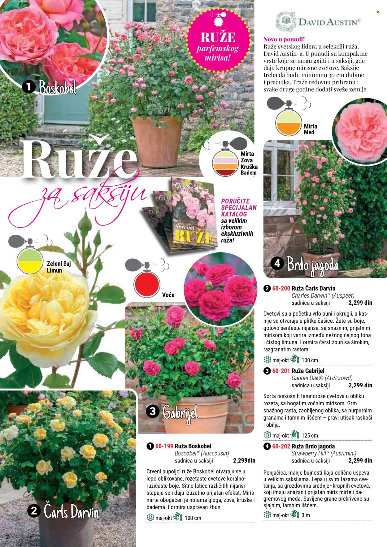 Flora Ekspres katalog. Stranica 116