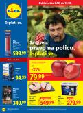 leaflet