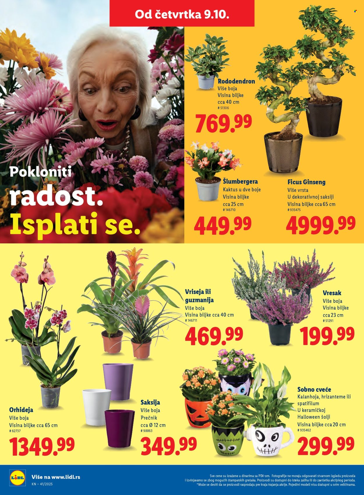 Lidl katalog - 09.10.2025 - 15.10.2025. Stranica 46