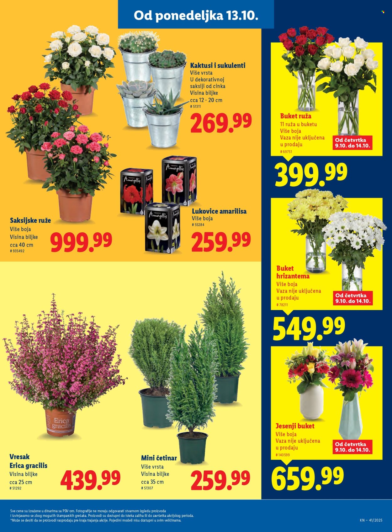 Lidl katalog - 09.10.2025 - 15.10.2025. Stranica 47