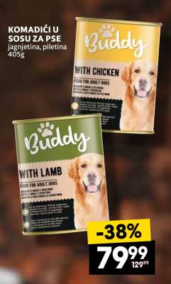 BUDDY