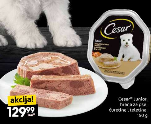 Cesar® Junior