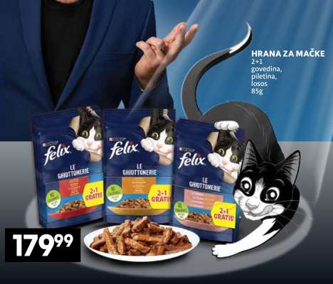 Hrana za mačke