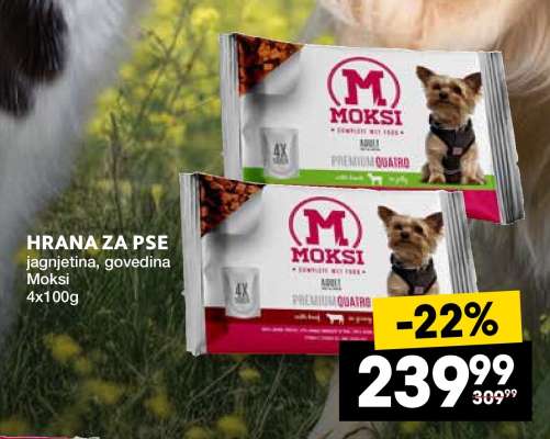 Hrana za pse