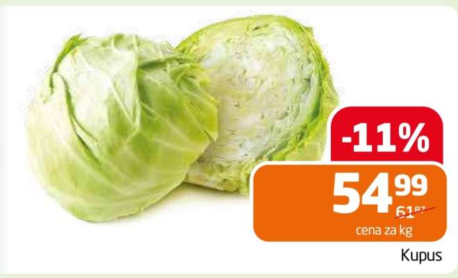 Kupus