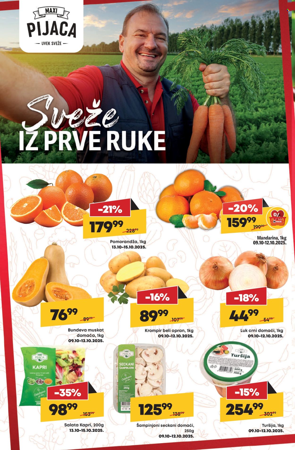 Maxi katalog - 09.10.2025 - 15.10.2025. Stranica 8