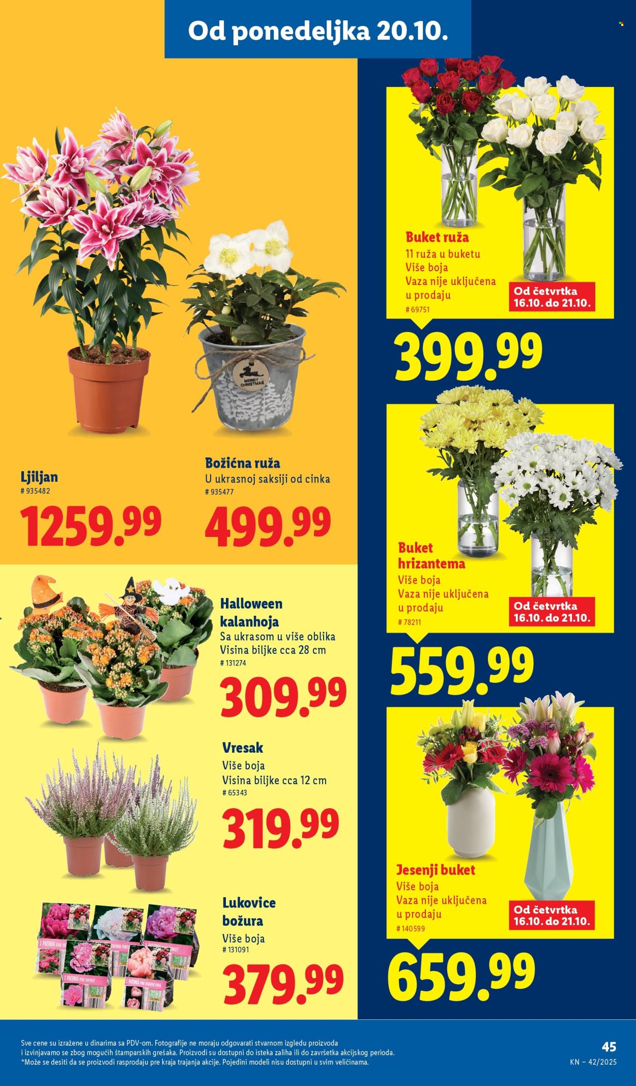 Lidl katalog - 16.10.2025 - 22.10.2025. Stranica 49