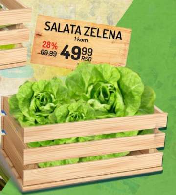 Salata zelena