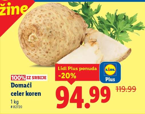 Domaći celer koren