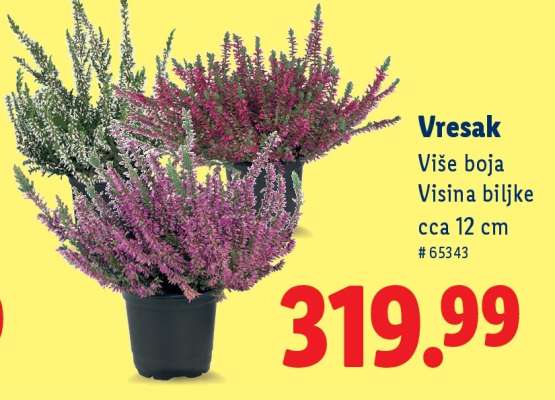 Vresak