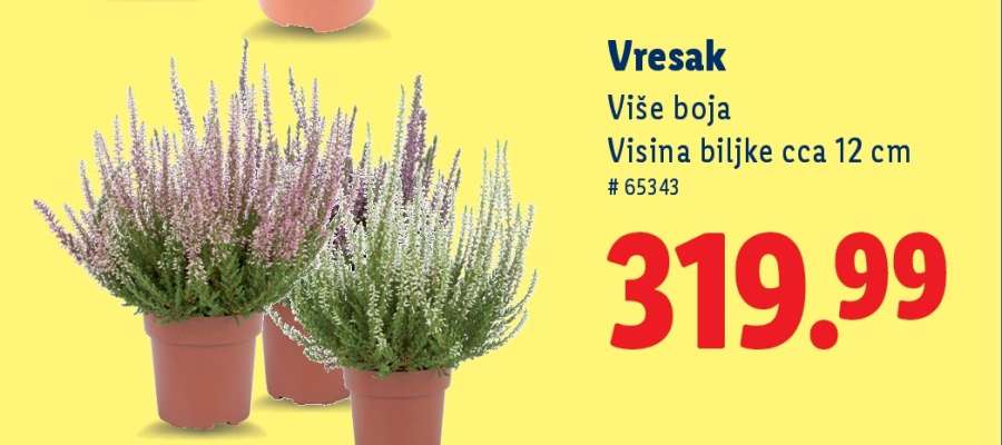 Vresak