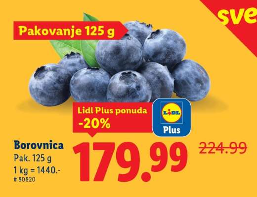 Borovnica