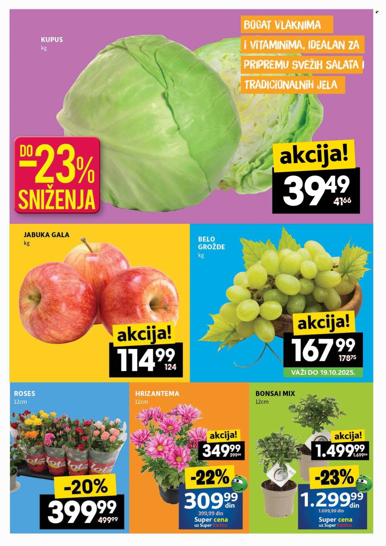 Roda katalog - 16.10.2025 - 22.10.2025. Stranica 2
