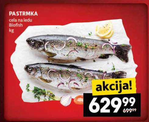Pastrmka