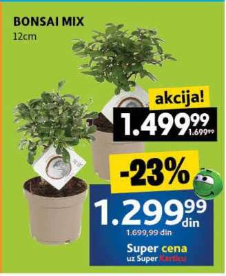 BONSAI MIX