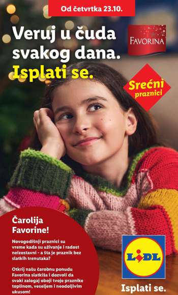 Lidl katalog.