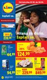 leaflet