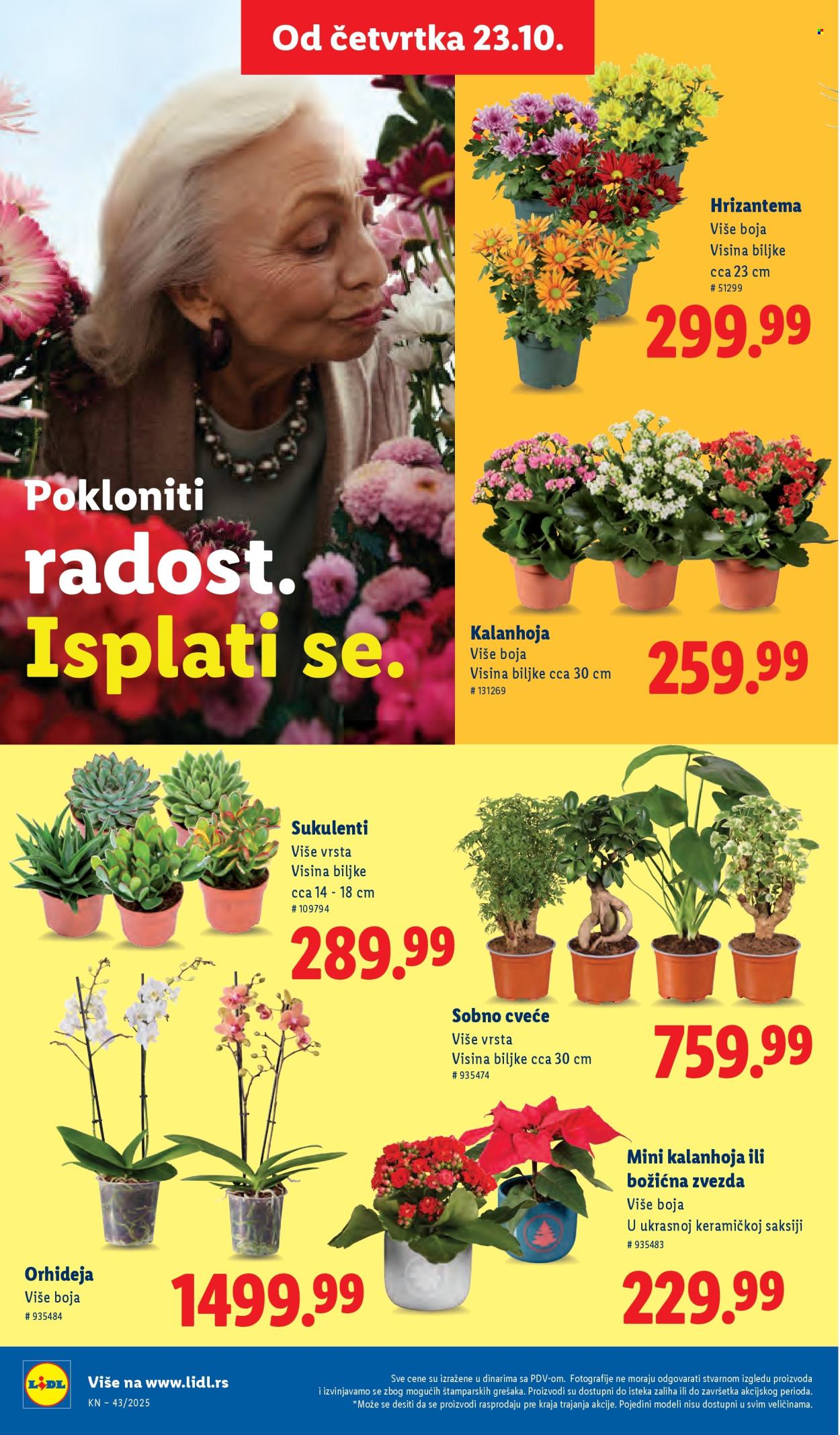 Lidl katalog - 23.10.2025 - 29.10.2025. Stranica 60