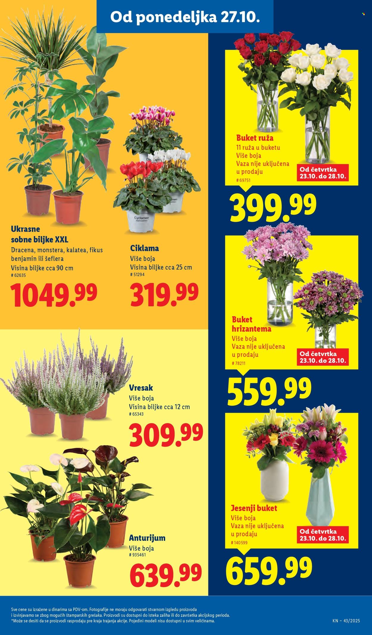 Lidl katalog - 23.10.2025 - 29.10.2025. Stranica 61
