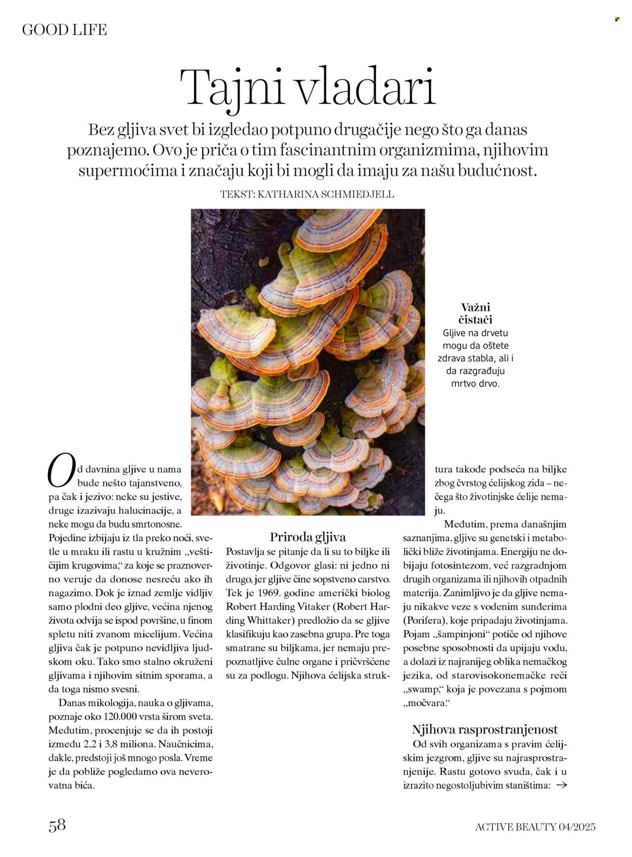 dm drogerie katalog. Stranica 58