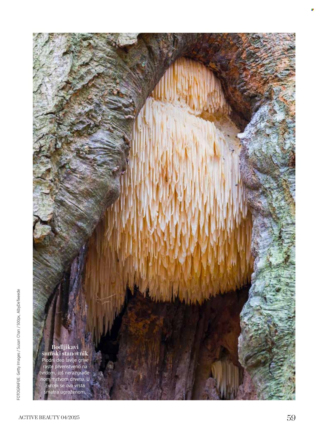 dm drogerie katalog. Stranica 59