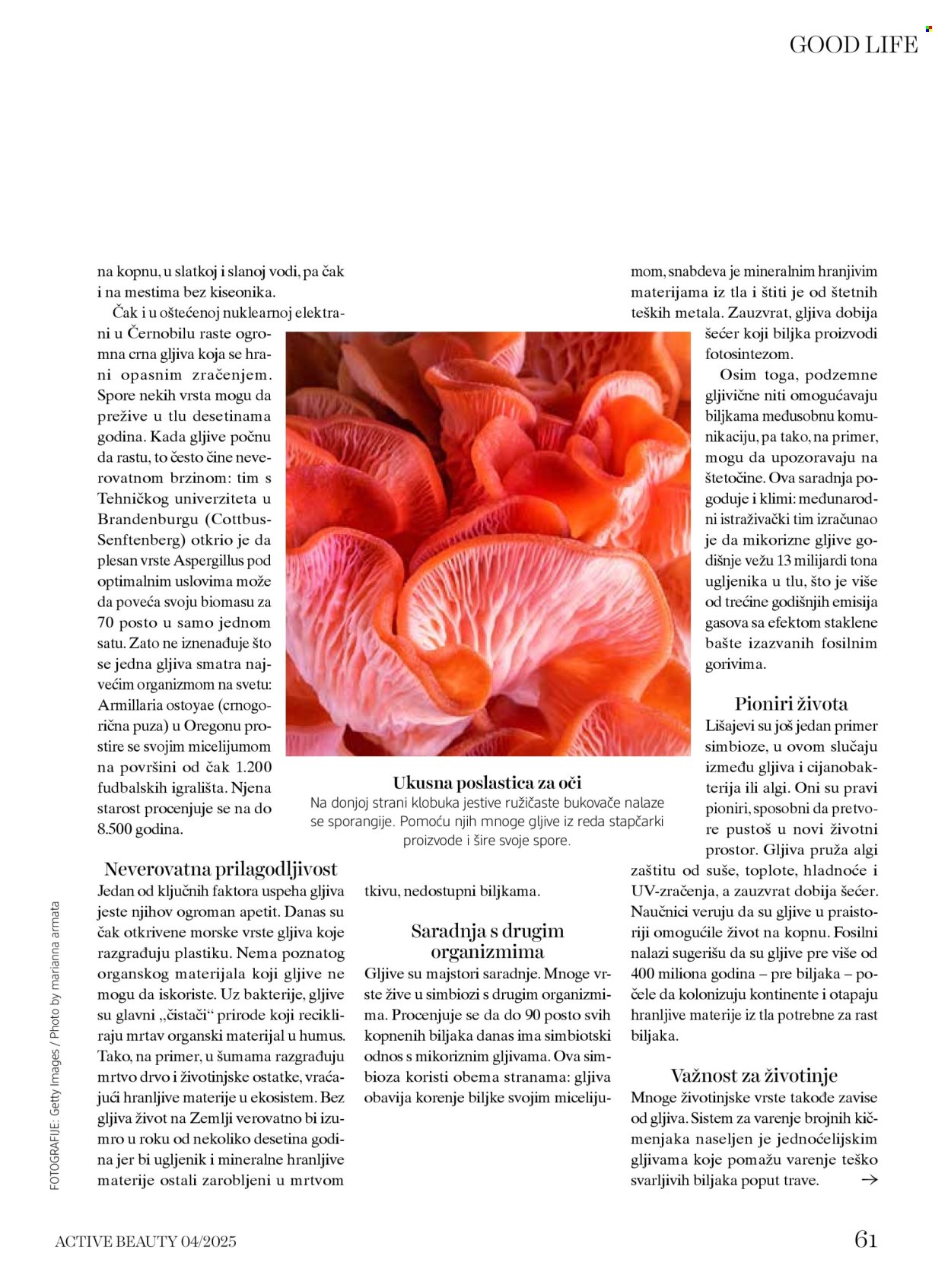 dm drogerie katalog. Stranica 61