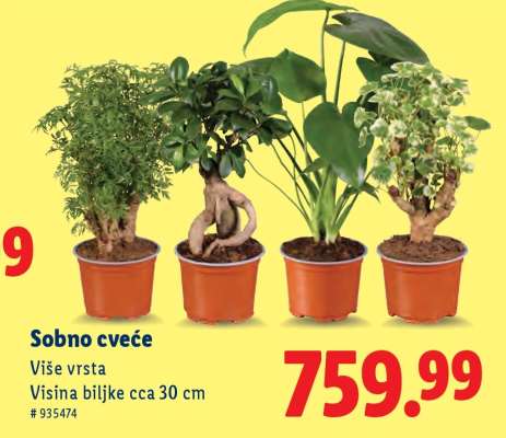 Sobno cveće