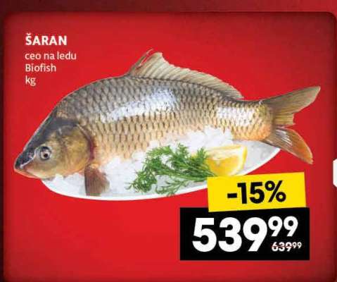 ŠARAN