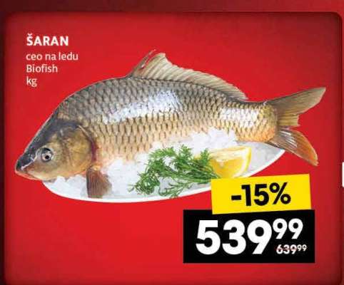 ŠARAN