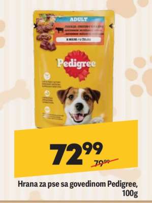 Hrana za pse sa govedinom Pedigree, 100g