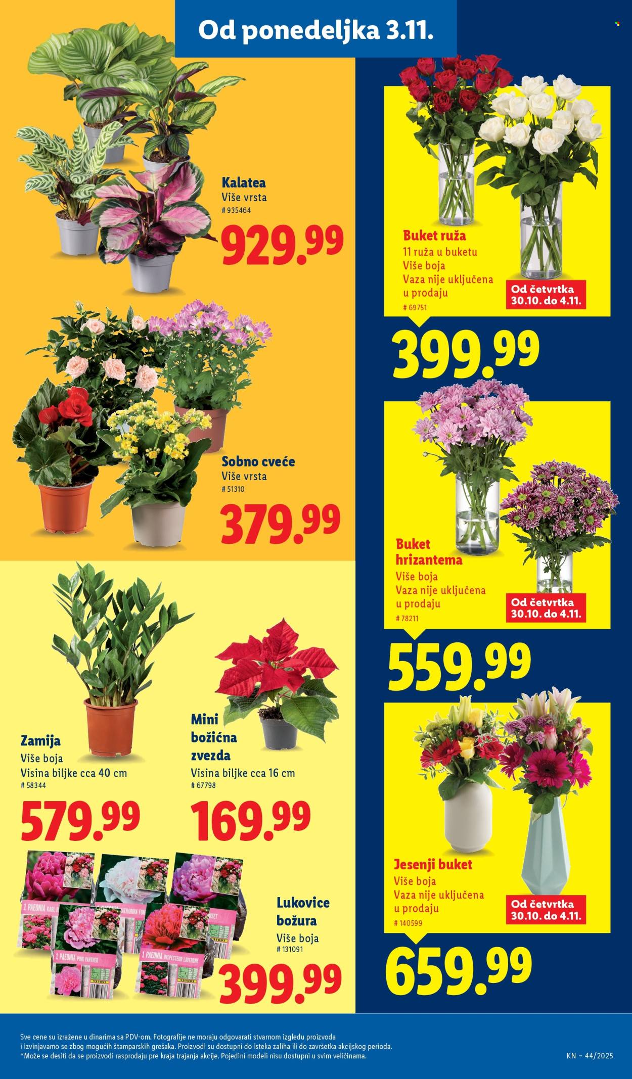 Lidl katalog - 30.10.2025 - 05.11.2025. Stranica 55