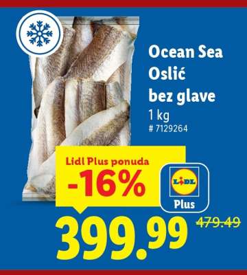 Ocean Sea Oslić bez glave
