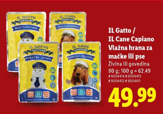 IL Gatto / IL Cane Capiano