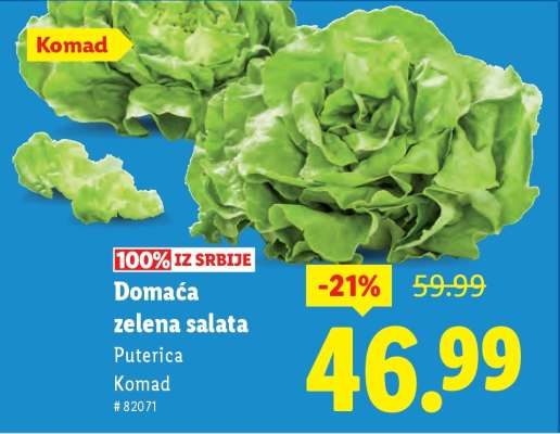 Domaća zelena salata