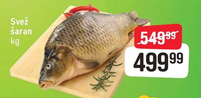 Svež šaran