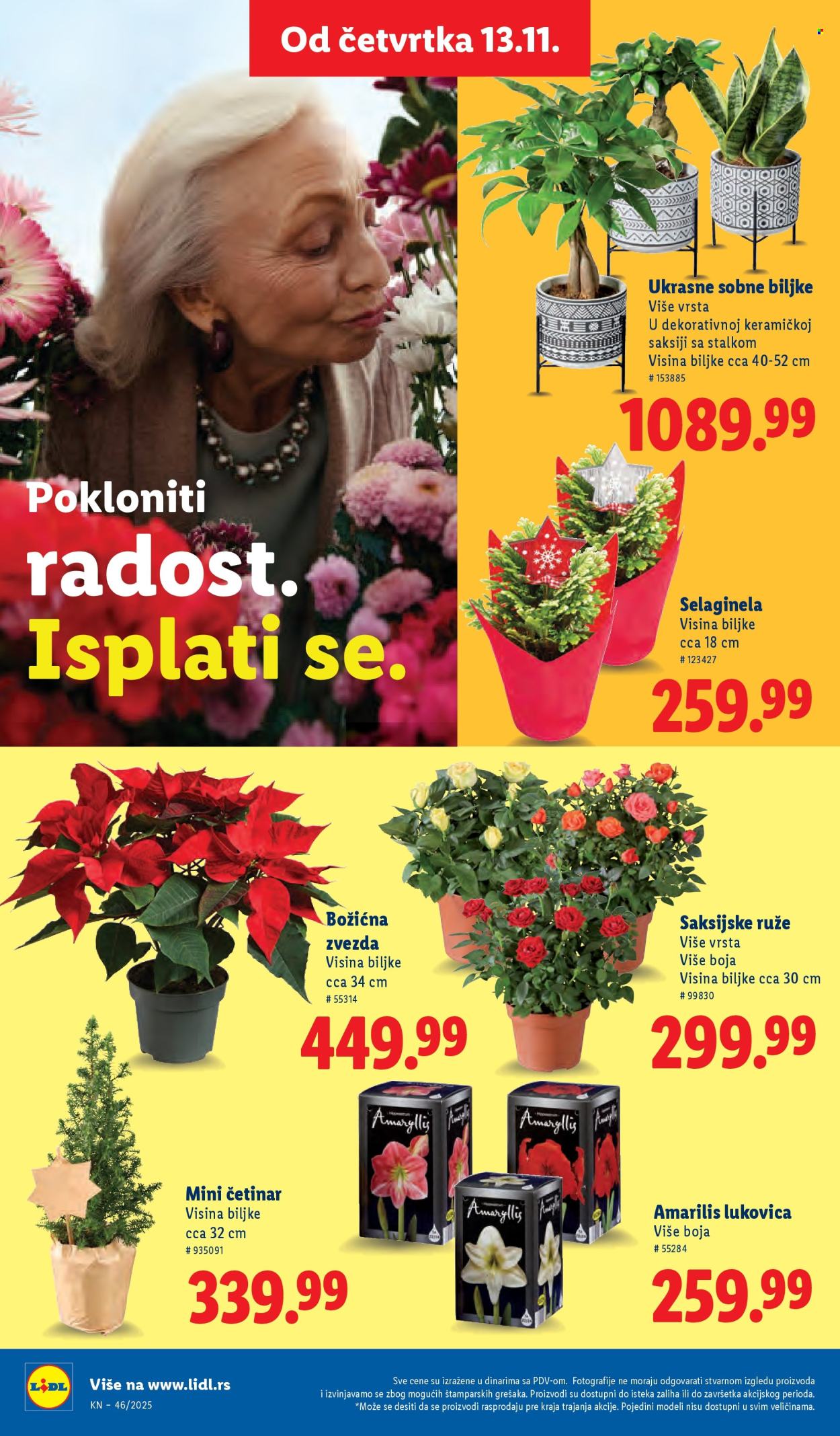 Lidl katalog - 13.11.2025 - 19.11.2025. Stranica 42