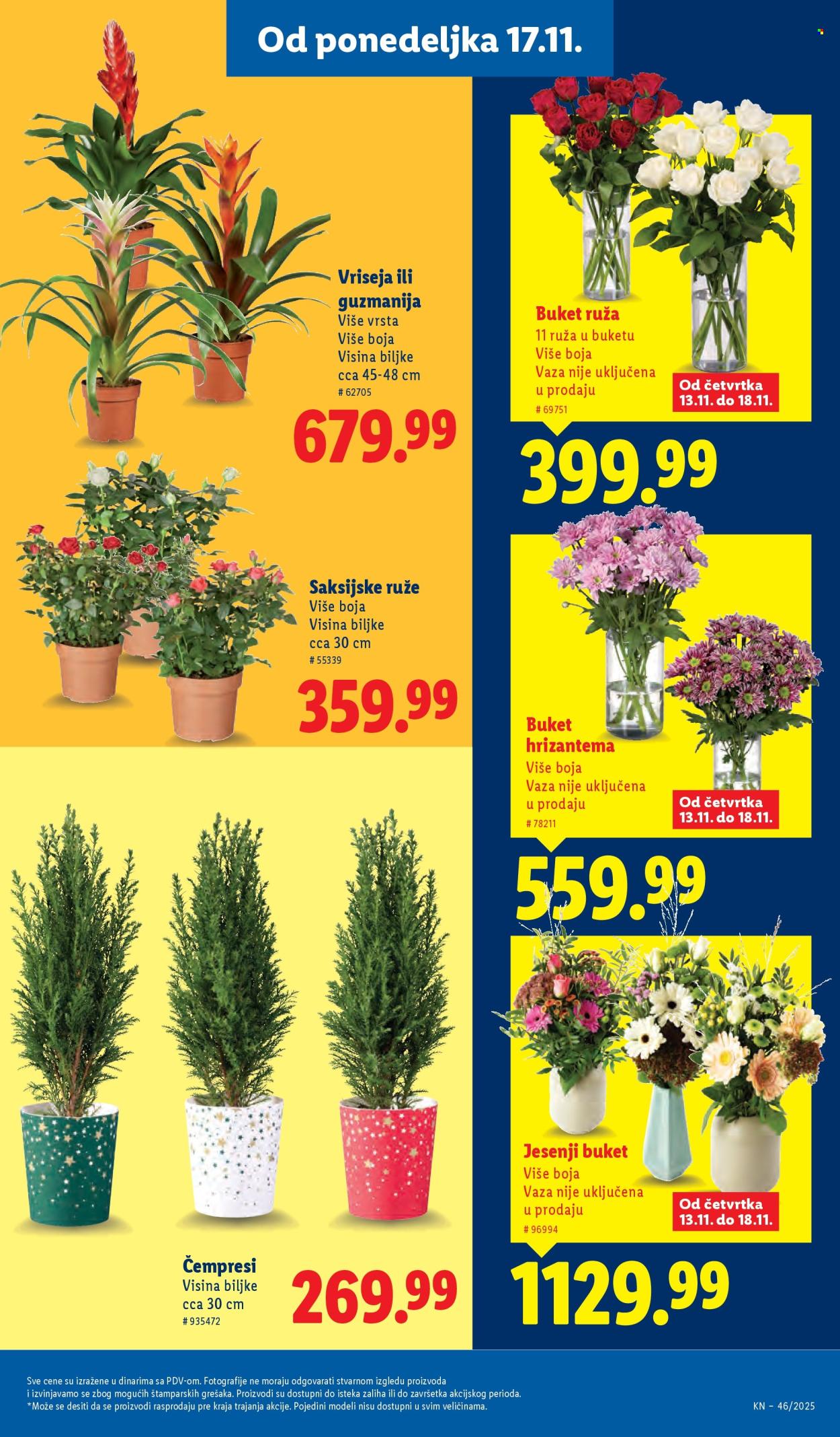 Lidl katalog - 13.11.2025 - 19.11.2025. Stranica 43