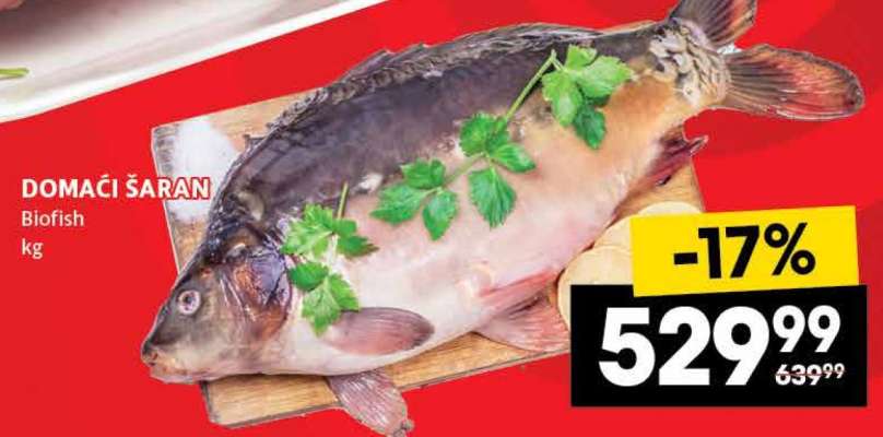 DOMAĆI ŠARAN
