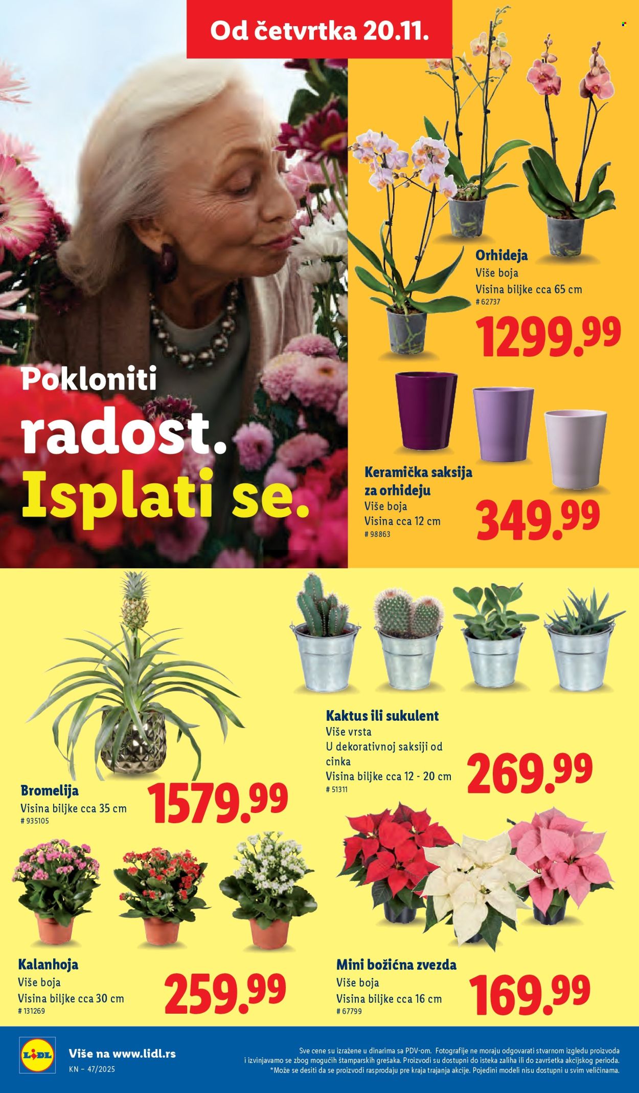 Lidl katalog - 20.11.2025 - 26.11.2025. Stranica 46