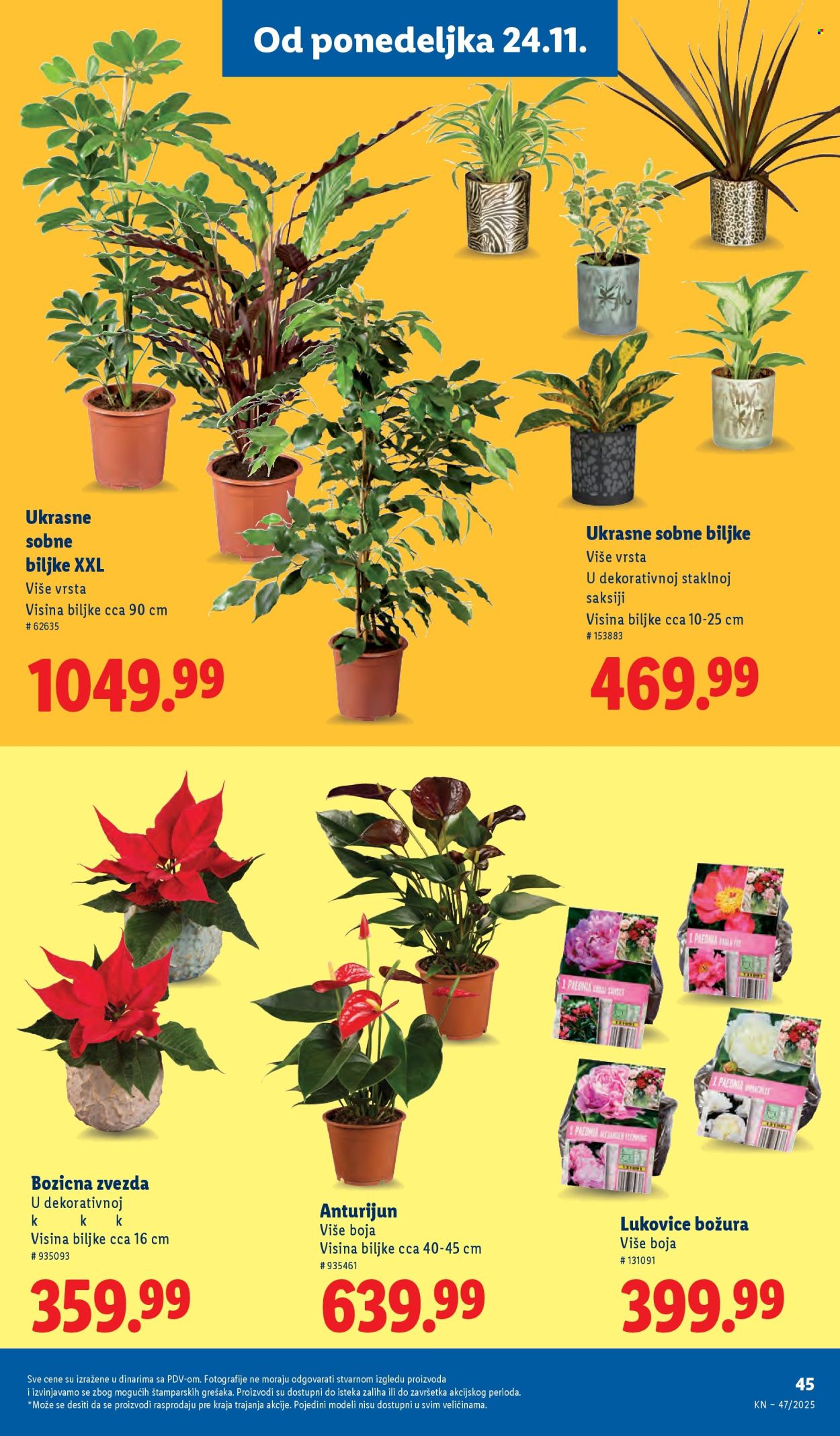 Lidl katalog - 20.11.2025 - 26.11.2025. Stranica 47