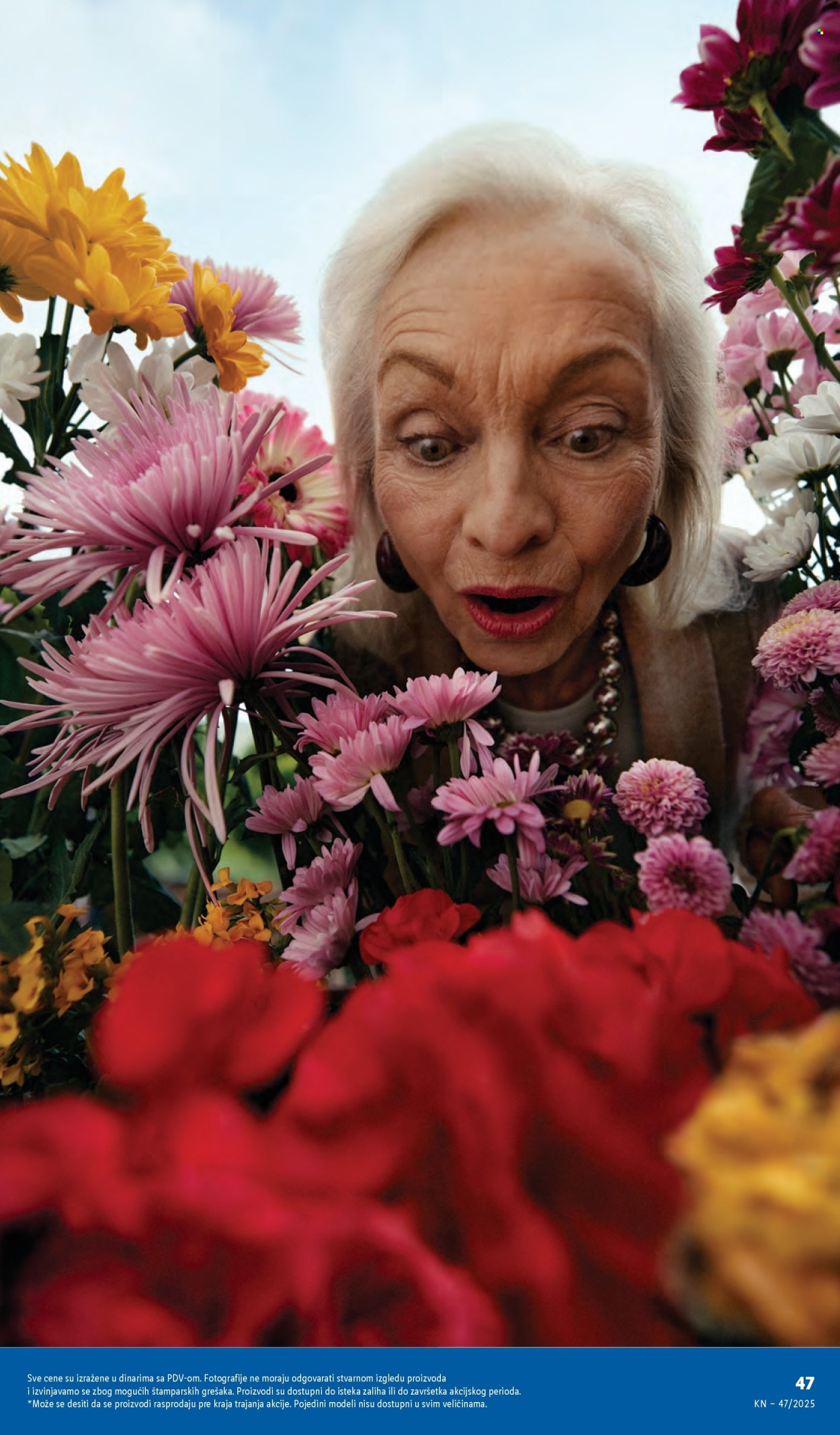 Lidl katalog - 20.11.2025 - 26.11.2025. Stranica 49