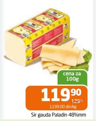 Sir gauda Paladin 48%mm